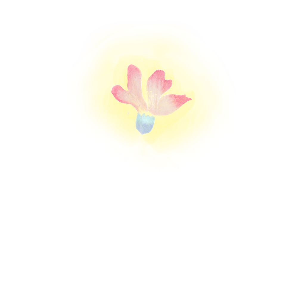 1684203499145513.png