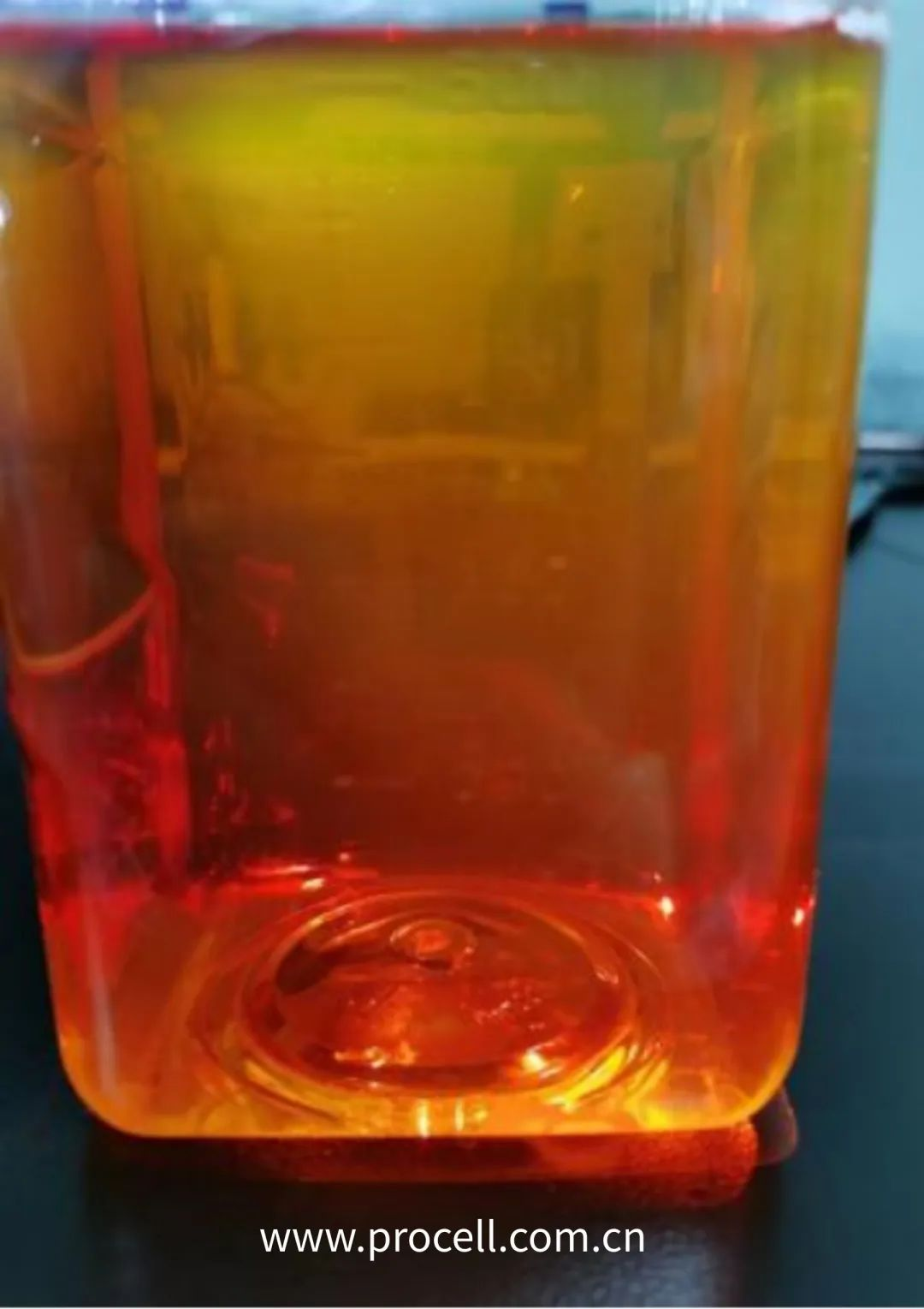 1709012405910260.jpg