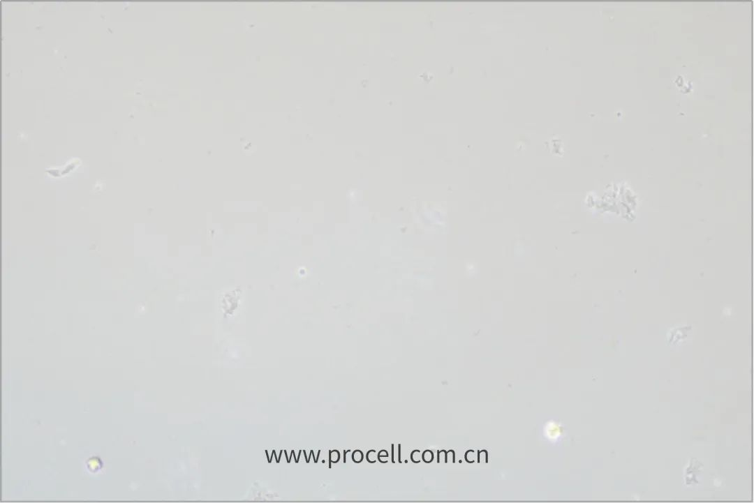 1709012588390174.jpg 1709012588390174.jpg