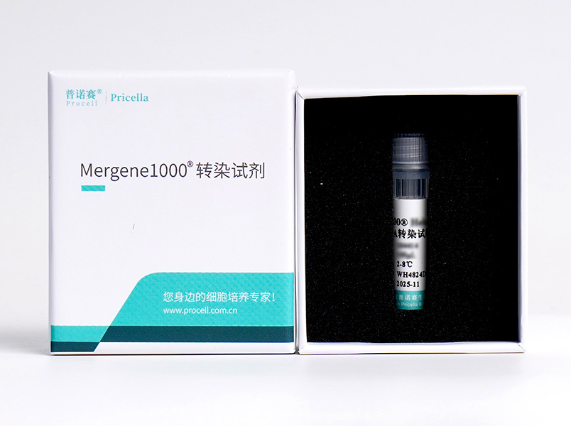 Mergene1000? Vero細(xì)胞專(zhuān)用DNA轉(zhuǎn)染試劑