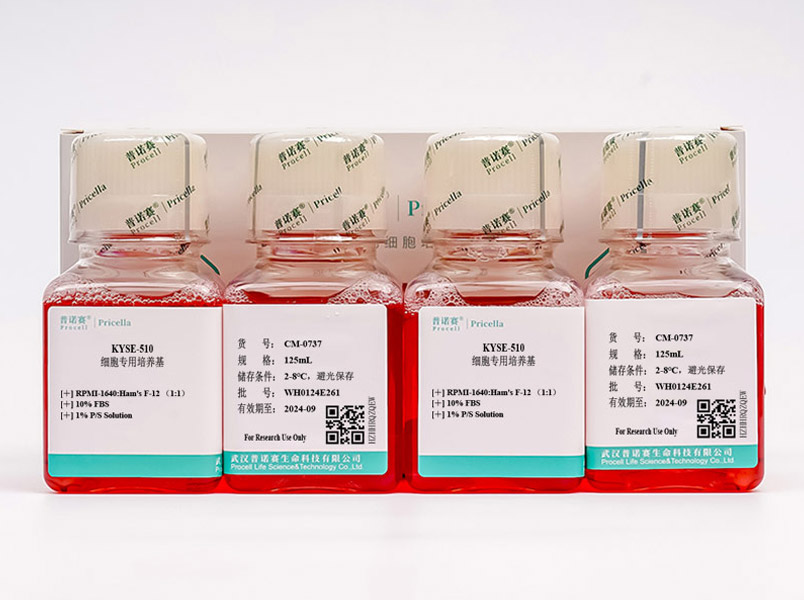KYSE-510細胞專用培養(yǎng)基
