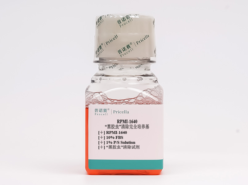“黑膠蟲”清除完全培養(yǎng)基(RPMI-1640，含10%FBS)