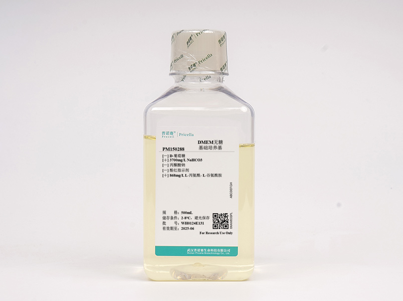 DMEM無糖 (含L-丙氨酰-L-谷氨酰胺，不含丙酮酸鈉、酚紅)